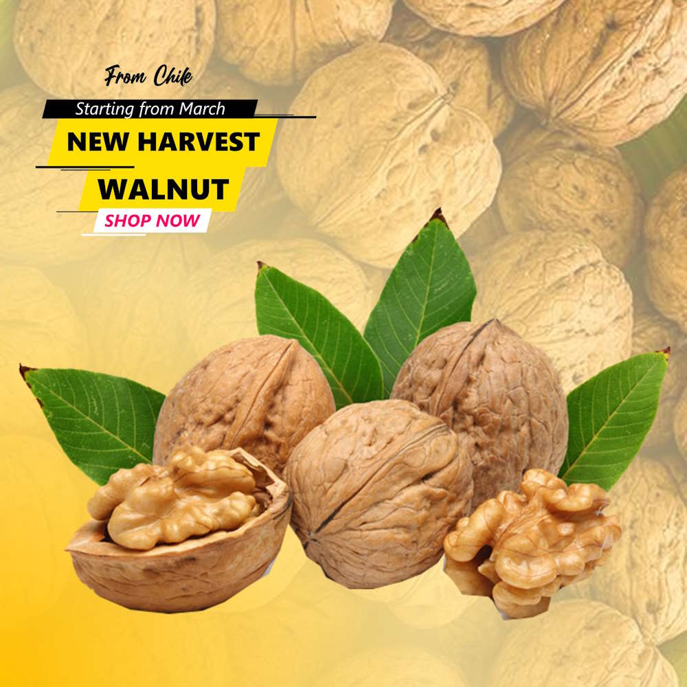 CHILEAN WALNUT – WHOLESALE NATURAL, HIGH-QUALITY SERR &amp; CHANDLER WALNUT VARIETIES