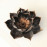 LOTUS (HORIZONTAL and WALL)