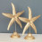 SEA STAR DOUBLE trinket