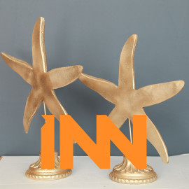 SEA STAR DOUBLE trinket SEA STAR DOUBLE trinket