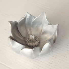 LITTLE LOTUS LITTLE LOTUS