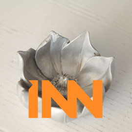 LITTLE LOTUS LITTLE LOTUS