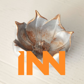 LITTLE LOTUS LITTLE LOTUS