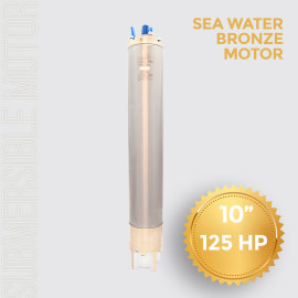Submersible Pump Motor 10 inch 125HP (92KW)
