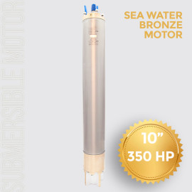 Submersible Pump Motor 10 inch 350HP (263KW)