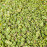 PISTACHIO IN WHOLESALE NATURAL GRANUL Pistachio