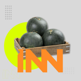 WATERMELON FRESH SUMMER FRUIT WHOLESALE TURKISH HARVEST 1st QUALITY FRUIT