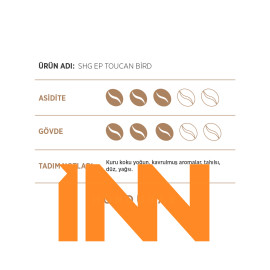 FACTORY WHOLESALE FILTER COFFEE HONDURAS– SHG EP TOUCAN BİRD 250G FACTORY WHOLESALE FILTER COFFEE HONDURAS– SHG EP TOUCAN BİRD 250G