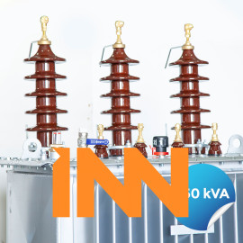 250 kVA DISTRIBUTION TRANSFORMER OIL TYPE 250 kVA DISTRIBUTION TRANSFORMER OIL TYPE