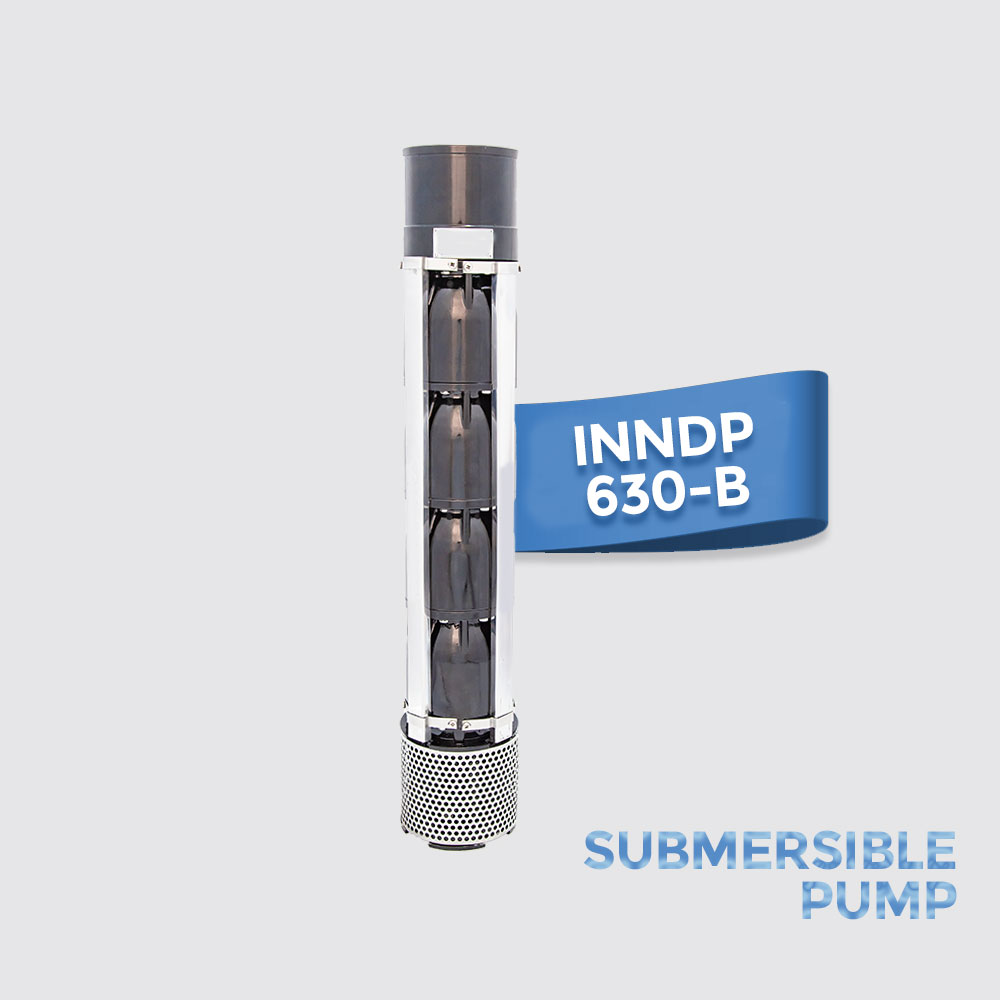 Dalgıç Pompa Döküm 6 inç INNDP615b
