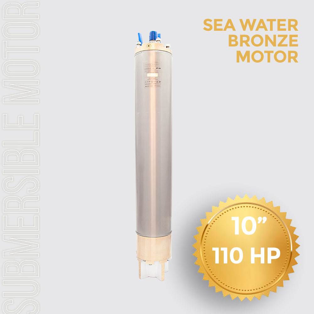 Submersible Pump Motor 10 inch 110HP (81KW) 6