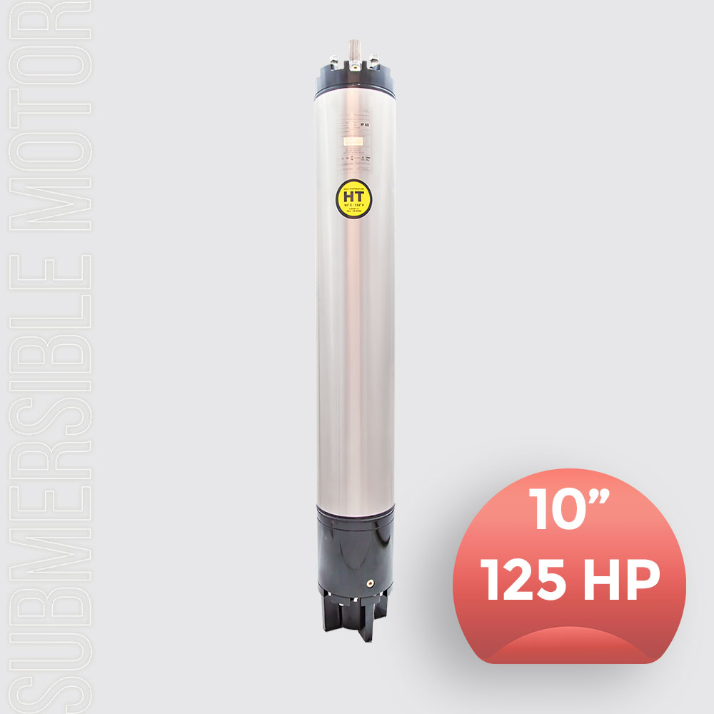 Dalgıç Pompa Motoru 10 inch 125HP (92KW)
