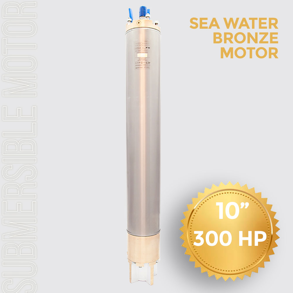 Submersible Pump Motor 10 inch 300HP (225KW) 7