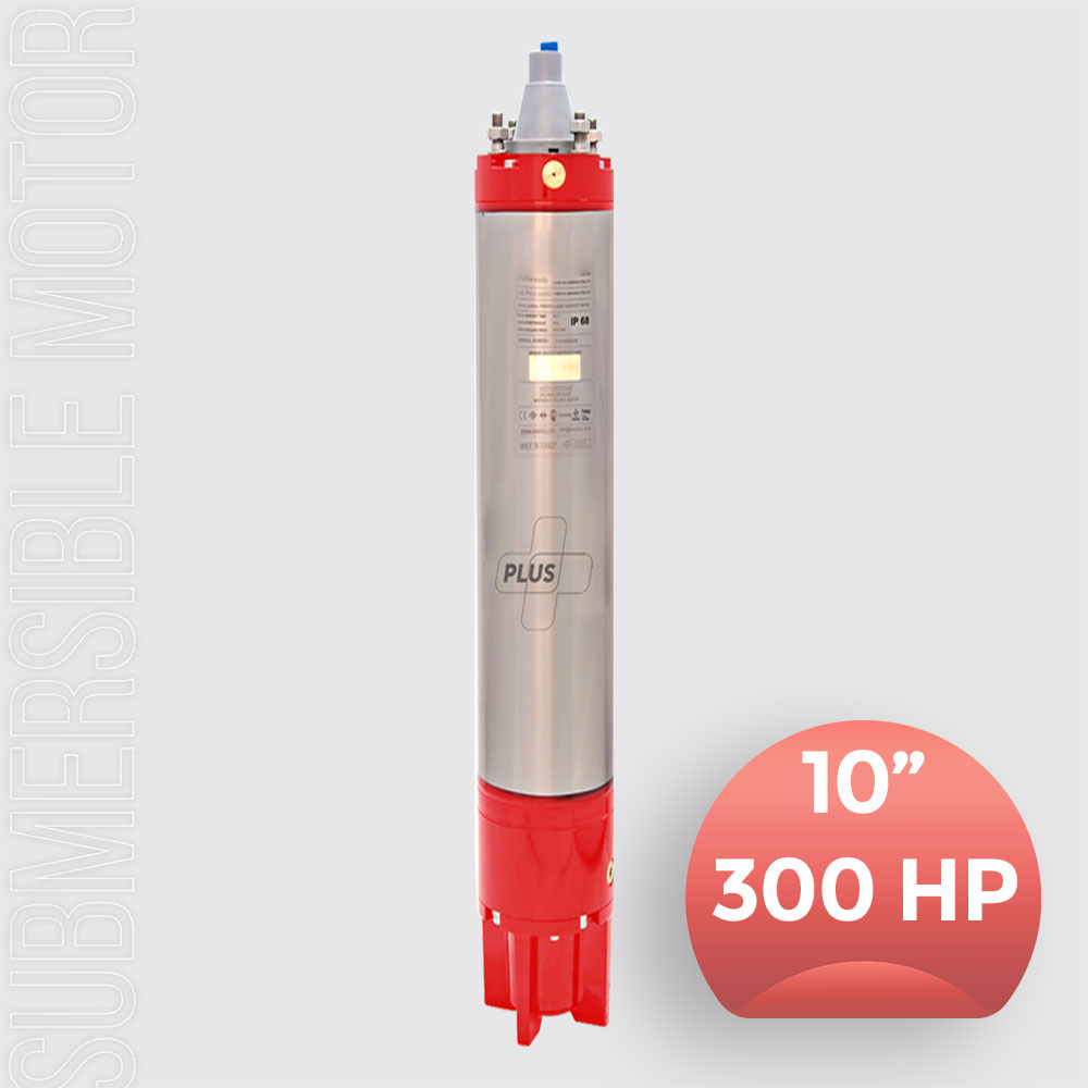 Dalgıç Pompa Motoru 10 inch 300HP (225KW)