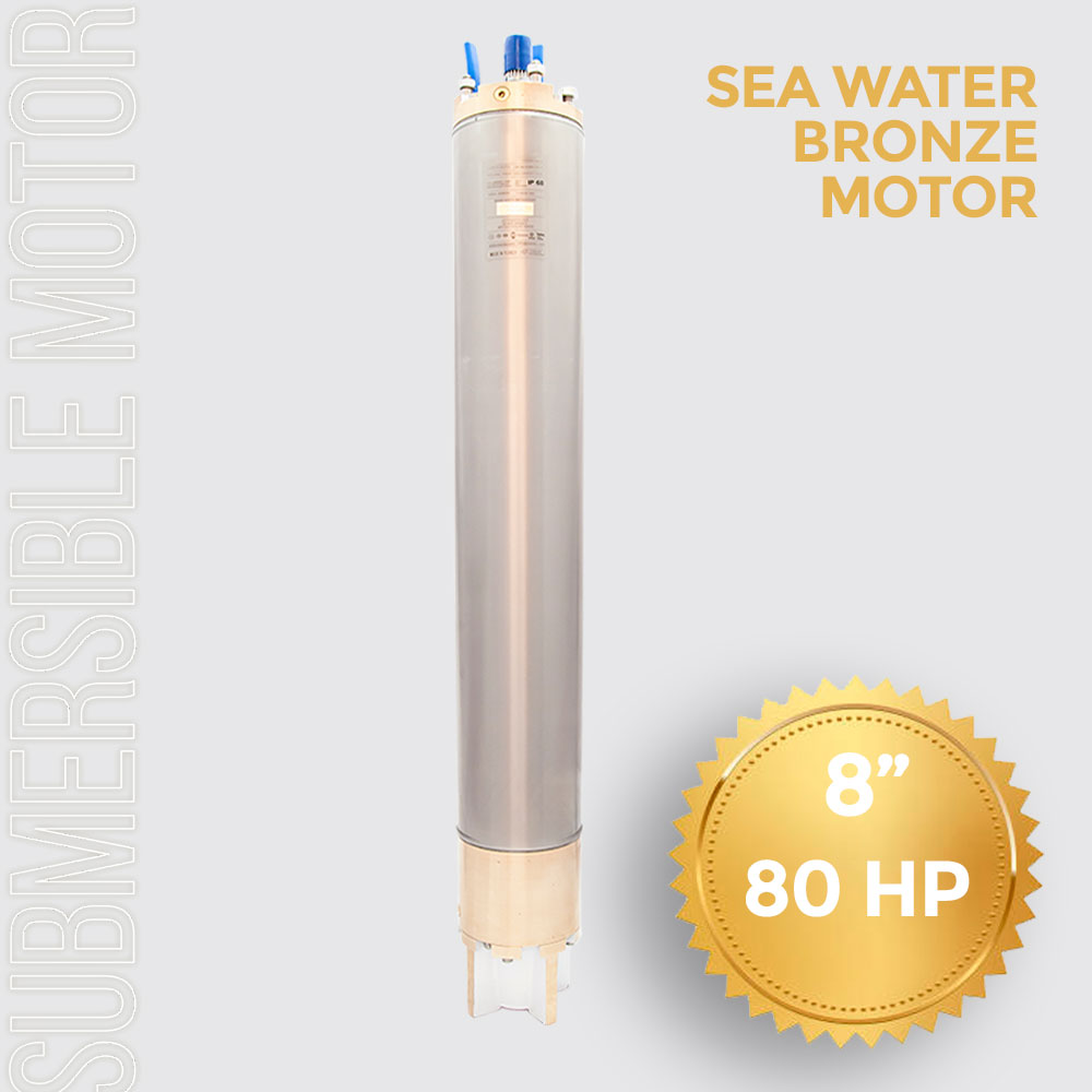 Submersible Pump Motor 8 inch 80HP (60KW) 6