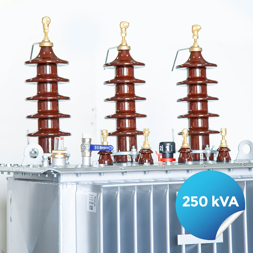 250 kVA DISTRIBUTION TRANSFORMER OIL TYPE 10