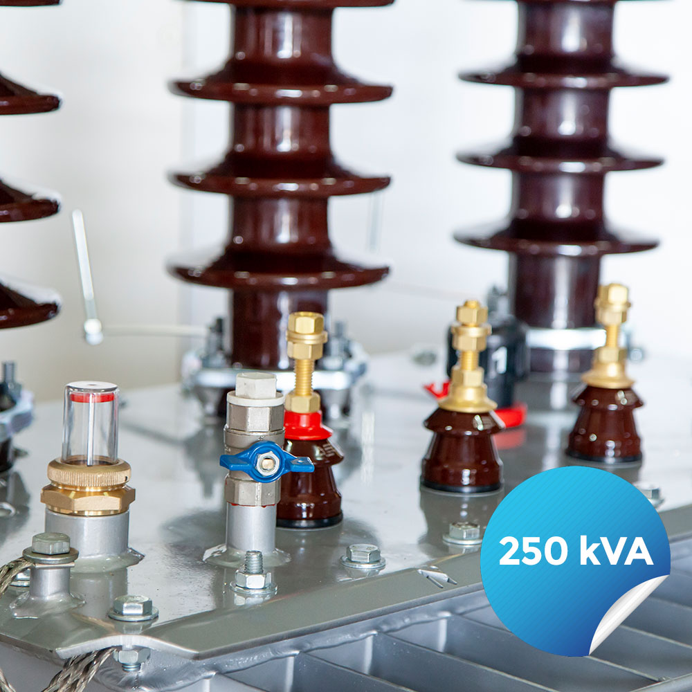 250 kVA DISTRIBUTION TRANSFORMER OIL TYPE 9
