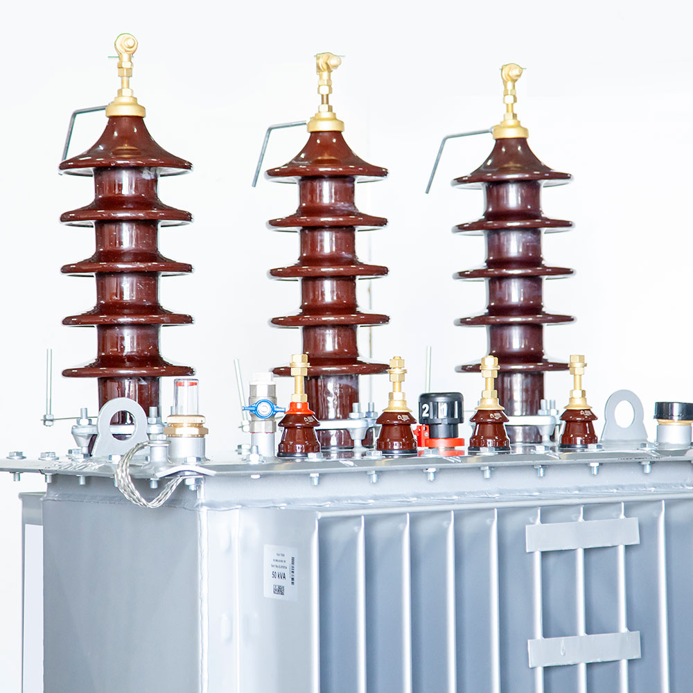 50 kVA DISTRIBUTION TRANSFORMER OIL TYPE 5